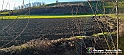 20230110_155607 - Dalla terra... il grano